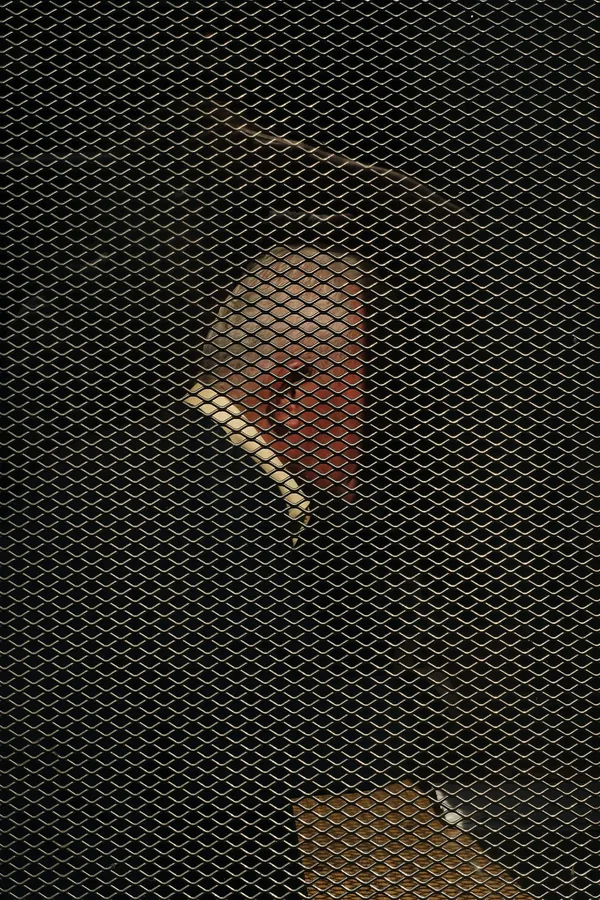 Bram Busink · Theme 4 "Somewhere else", photo 1