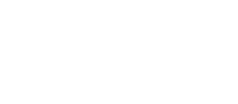 Saal Digital