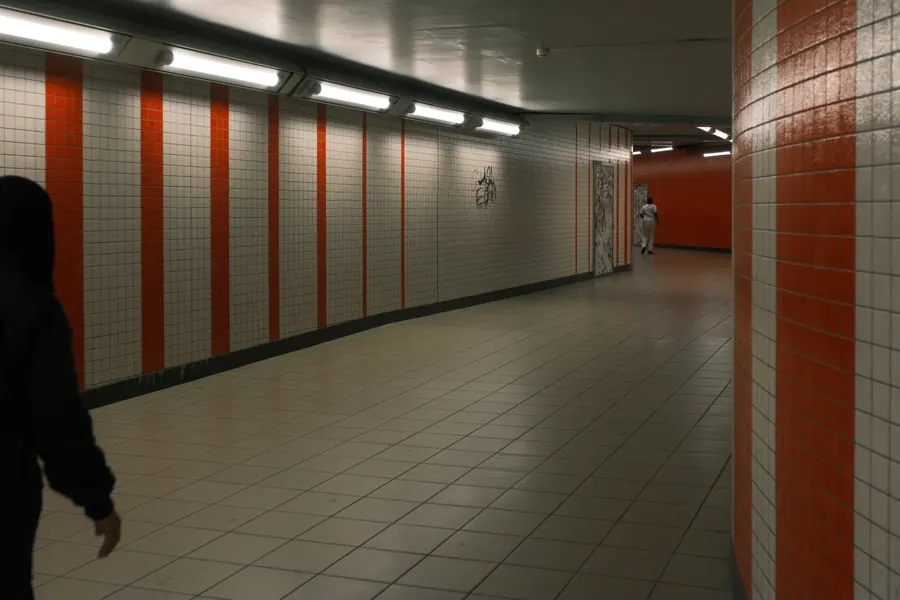 Anna Linmans · Theme 3 "Out of place", frame 3