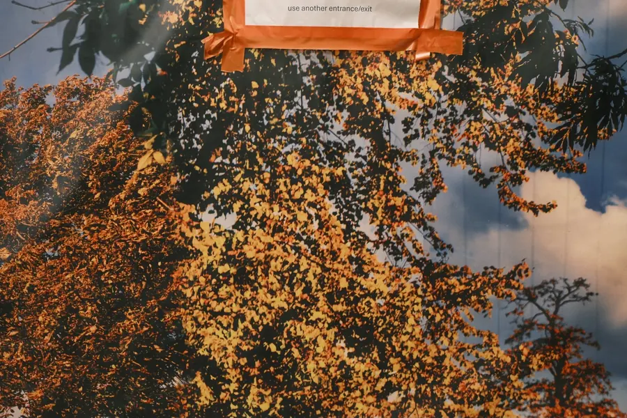 Anna Linmans · Theme 4 "Nothing is what it seems", frame 1